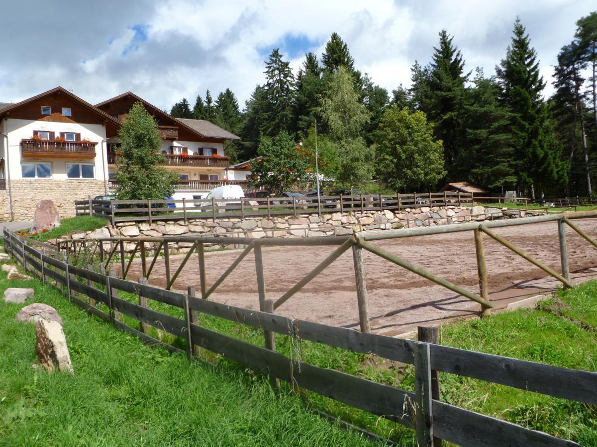 Reiterhof Edelweiss Hotell San Genesio Atesino Eksteriør bilde