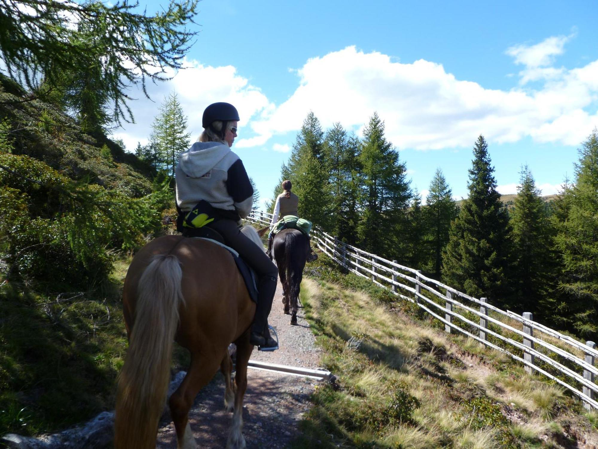 Reiterhof Edelweiss Hotell San Genesio Atesino Eksteriør bilde